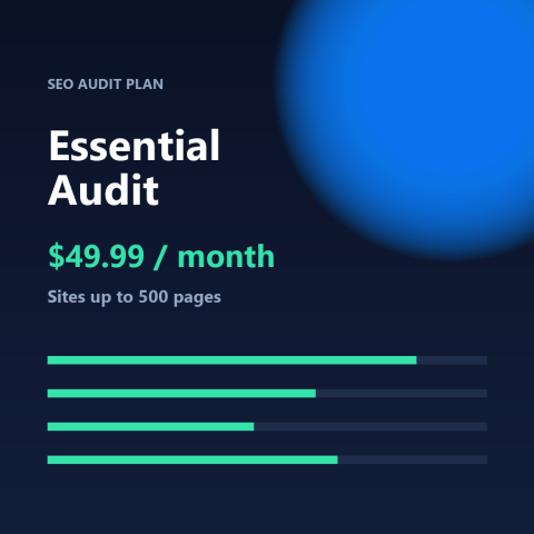Essential Audit