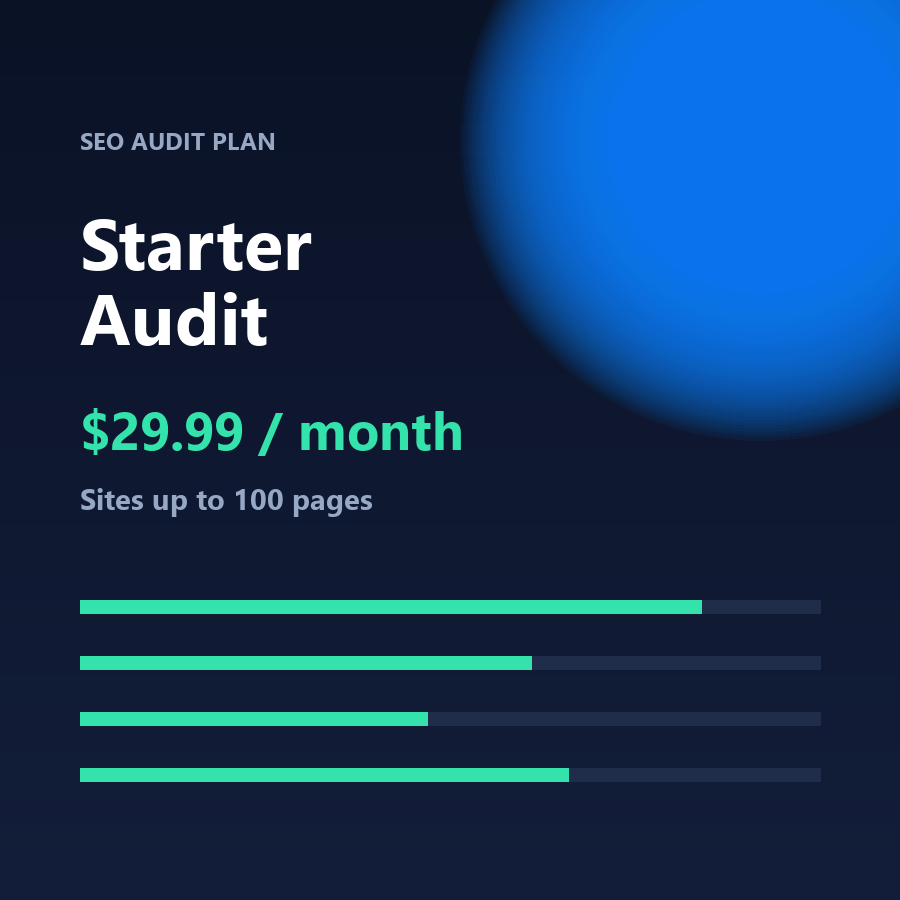 Starter Audit